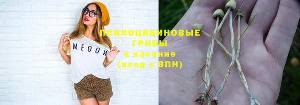 ГАЛЛЮЦИНОГЕННЫЕ ГРИБЫ Абдулино
