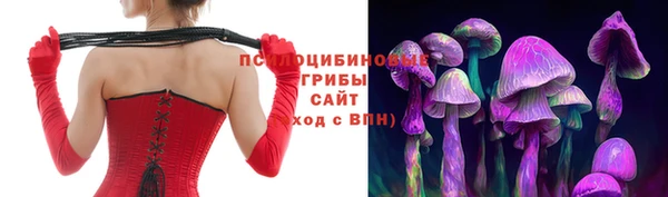 меф Алексин