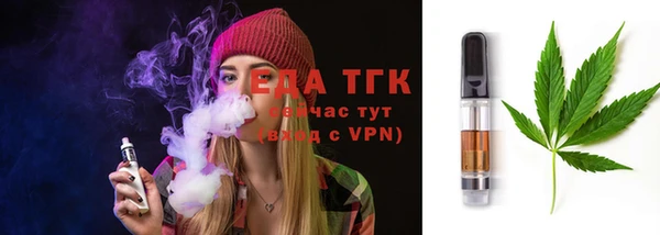 тгк Абаза