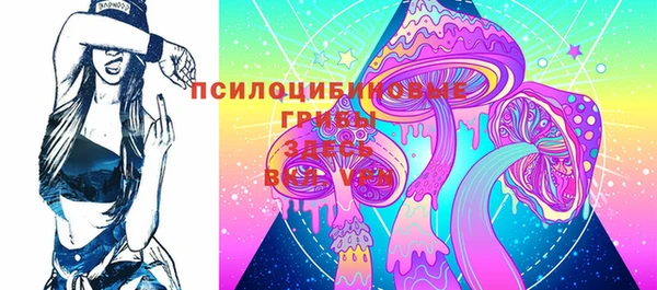тгк Абаза