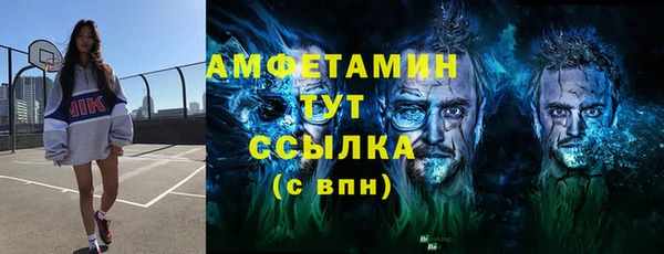 тгк Абаза