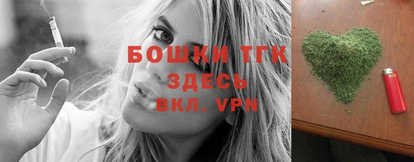 тгк Абаза